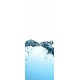 Glastüren Digitaldruck Glastür 1035-1 "Wasser"