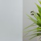 S 642-F Glasschiebetüren