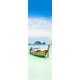 Glastür 1033-1 "Thailand" Digitaldruck