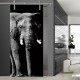 Glasschiebetür SLD 007 SW 'Elefant' Schiebetüren mit Lasergravur