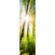 Lichtausschnitt 1061-1 "Wald" Verglasungen mit Digitaldruck