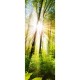 Lichtausschnitt 1061-1 "Wald" Verglasungen mit Digitaldruck