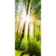 Lichtausschnitt 1061-1 "Wald" Verglasungen mit Digitaldruck