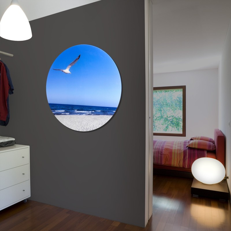 rundes Glasbild 1066-1 "Möwe" Glastueren24.de