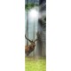 Glastür 9009 "Edelhirsch" Digitaldruck