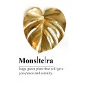 Glasbild " Monstera "