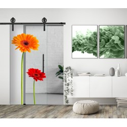 Glasschiebetür Gerbera mit Corvara