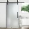 Glasschiebetür Satinato mit Corvara