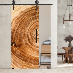Glasschiebetür 1168- "Altersringe vollflächig" mit Corvara Designschiebesystem