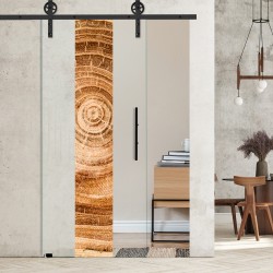 Glasschiebetür 1169- "Altersringe vertikal" mit Corvara Designschiebesystem