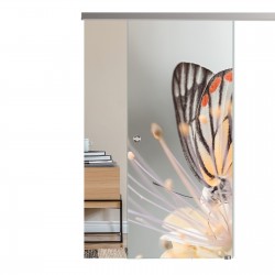 Glasschiebetür AG 50 - "Butterfly" 1102