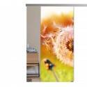 SlimLine45 Glasschiebetür 1106-1-Pusteblume