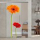 SlimLine45 Glasschiebetür 1009-3-F (Gerbera rot) SlimLine45